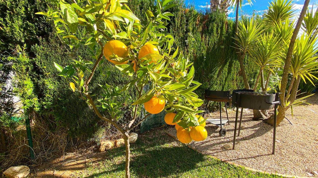 Villa El Palmar II Denia Luaran gambar